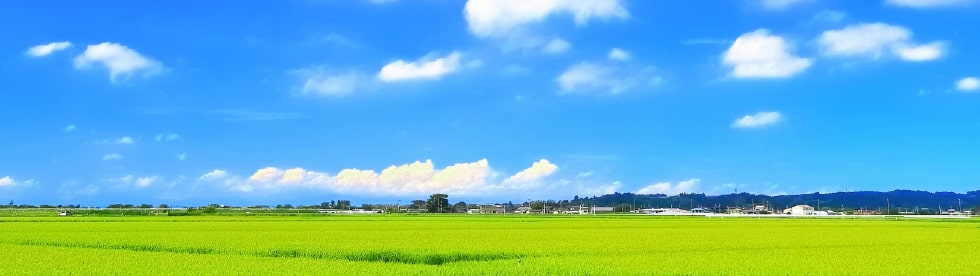 青空と田園風景